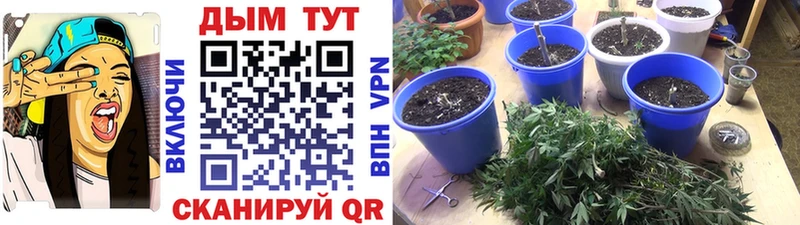 Бошки Шишки VHQ  хочу   Жиздра 